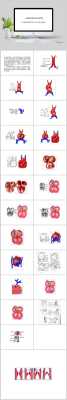 胎儿心脏什么时候开始发育（胎儿心脏什么时候开始发育完全）  第1张