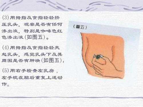 孕期乳房检查(孕期乳房检查) 第1张 孕期乳房检查(孕期乳房检查) 第1张