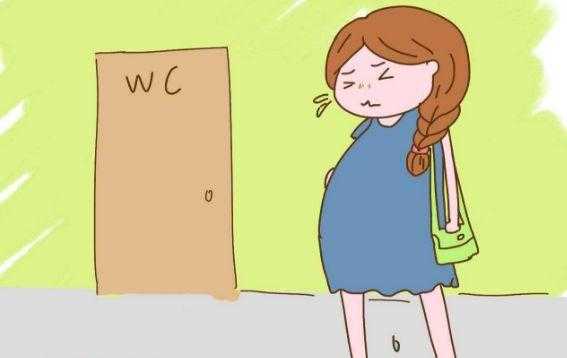 孕期跑厕所（孕期跑厕所）  第2张
