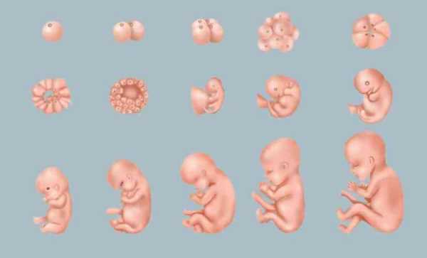胎儿38周出生正常吗(请问怀孕多少周生宝宝为正常) 第1张 胎儿38周出生正常吗(请问怀孕多少周生宝宝为正常) 第1张