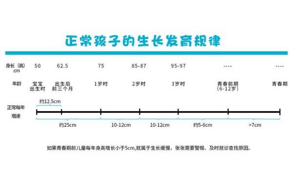 人体生长顶峰是几岁,胎儿发育高峰期 第3张 人体生长顶峰是几岁,胎儿发育高峰期 第3张