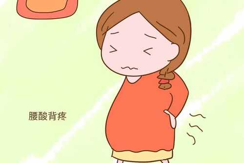 孕期腰酸痛（孕晚期腰一阵一阵酸痛）  第2张