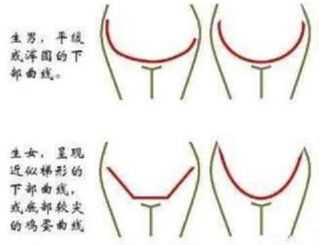 孕妇肚子大小怎么算正常,孕期B型肚是男孩女孩 第1张 孕妇肚子大小怎么算正常,孕期B型肚是男孩女孩 第1张