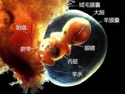 怎么判断羊水破没破?羊水破了的表现是什么,胎儿羊水少有什么症状表现 第2张 怎么判断羊水破没破?羊水破了的表现是什么,胎儿羊水少有什么症状表现 第2张