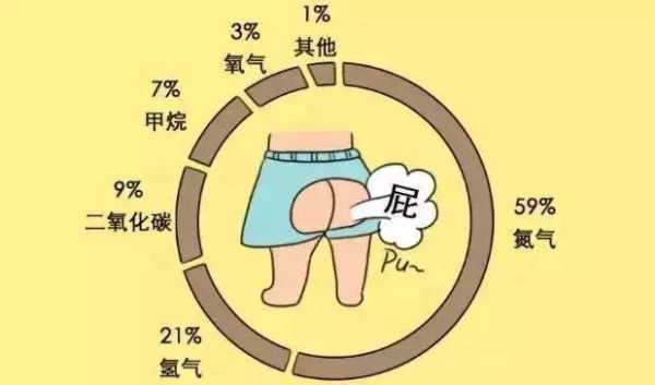 早孕期屁多（怀孕初期放屁多是怎么回事）  第1张