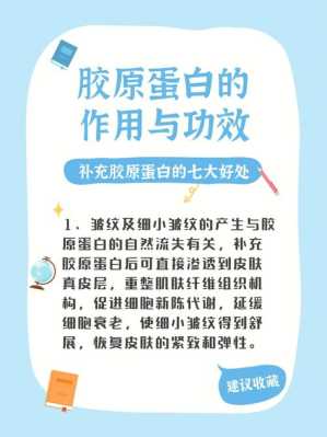 胶原蛋白对胎儿的好处（胶原蛋白对胎儿的好处和坏处）  第2张