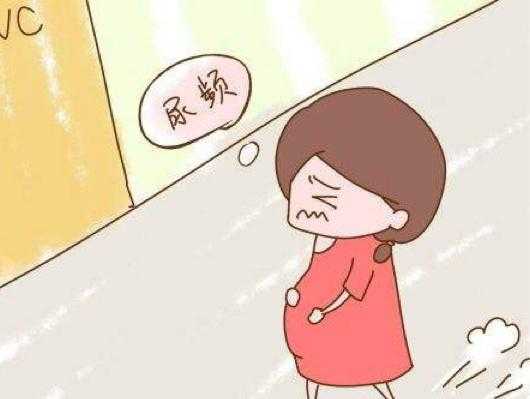 孕期尿黄尿频(孕妇35加4天晚上尿频怎么回事) 第3张 孕期尿黄尿频(孕妇35加4天晚上尿频怎么回事) 第3张