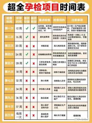 孕期彩超时间(孕期彩超时间表) 第3张 孕期彩超时间(孕期彩超时间表) 第3张