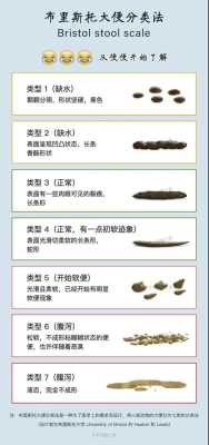 孕期拉软便(孕期拉软便正常吗) 第2张 孕期拉软便(孕期拉软便正常吗) 第2张