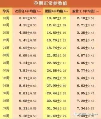 37周胎儿发育标准值是多少呢,怀孕10周胎儿发育情况如何 第2张 37周胎儿发育标准值是多少呢,怀孕10周胎儿发育情况如何 第2张