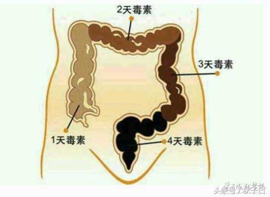 孕期排宿便(孕期排宿便) 第1张 孕期排宿便(孕期排宿便) 第1张