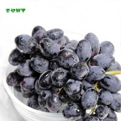 孕妇吃黑加仑葡萄好吗?怀孕五个多月了,可以吃什么水果,孕期吃黑提对胎儿的好处 第2张 孕妇吃黑加仑葡萄好吗?怀孕五个多月了,可以吃什么水果,孕期吃黑提对胎儿的好处 第2张