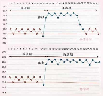 孕妇晚上体温多少正常?感觉一到晚上体温就会比白天的高,孕期体温变化图片 第2张 孕妇晚上体温多少正常?感觉一到晚上体温就会比白天的高,孕期体温变化图片 第2张