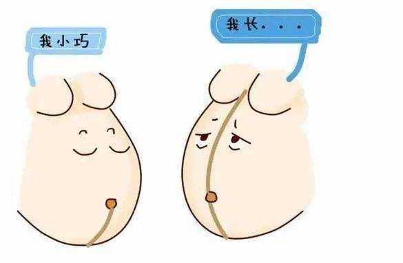 孕期没长妊娠线(怀孕三个月肚子没有黑线怎么回事) 第1张 孕期没长妊娠线(怀孕三个月肚子没有黑线怎么回事) 第1张