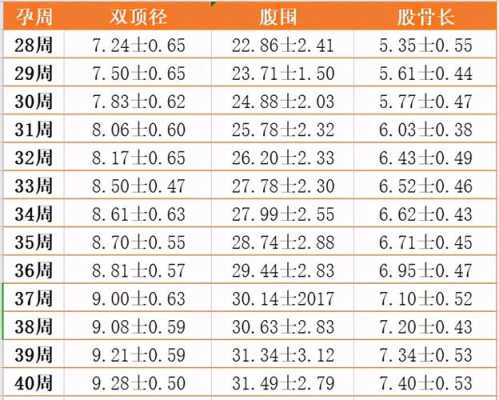 足月胎儿长度(3个半月宝腿多长正常) 第3张 足月胎儿长度(3个半月宝腿多长正常) 第3张