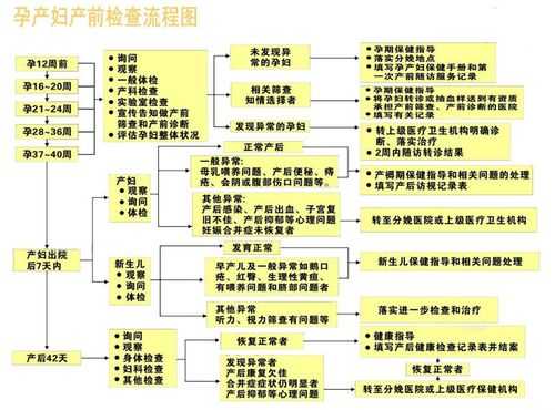 整个孕期的产检流程(上海产检流程) 第2张 整个孕期的产检流程(上海产检流程) 第2张