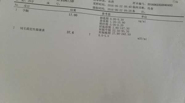 胎儿发育Hc(胎儿发育hcg一直不降) 第3张 胎儿发育Hc(胎儿发育hcg一直不降) 第3张