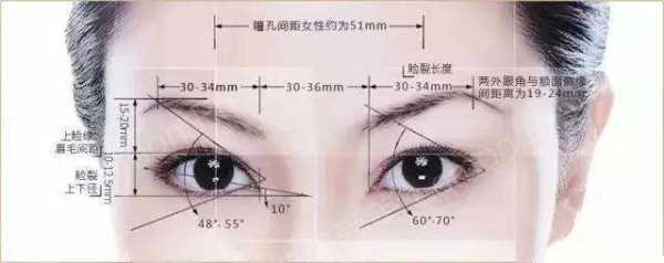 胎儿眼距标准(胎儿眼距标准对照表) 第1张 胎儿眼距标准(胎儿眼距标准对照表) 第1张