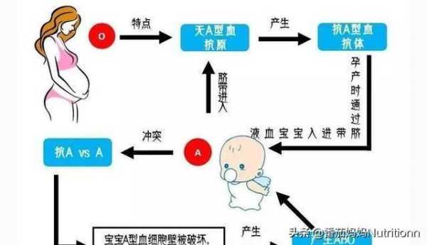 溶血性胎儿(ABO溶血是什么) 第1张 溶血性胎儿(ABO溶血是什么) 第1张