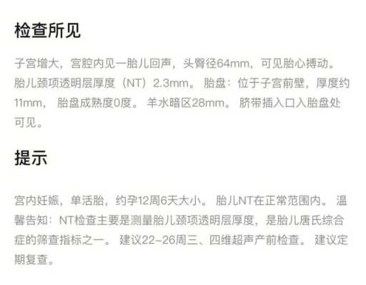 孕期做nt的最佳时间(做nt的周数怎么算) 第3张 孕期做nt的最佳时间(做nt的周数怎么算) 第3张