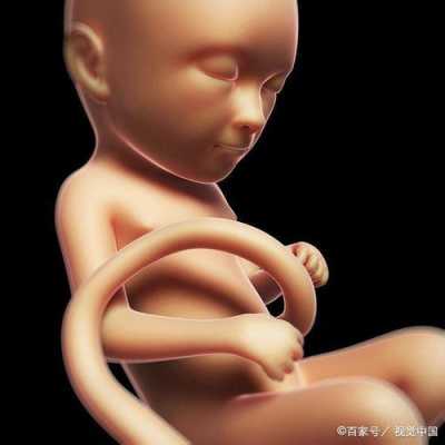 孕晚期胎儿白天不动晚上动厉害,孕晚期胎儿图片  第3张
