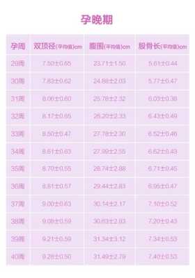 胎儿彩超标准(胎儿彩超标准对照表) 第3张 胎儿彩超标准(胎儿彩超标准对照表) 第3张