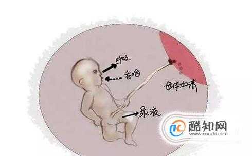 怀孕期间羊水多怎么办(怀孕期间羊水多是什么原因造成的) 第1张 怀孕期间羊水多怎么办(怀孕期间羊水多是什么原因造成的) 第1张