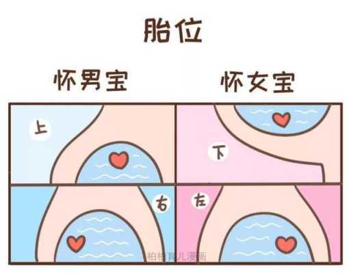 胎心在右边胎儿姿势图(胎心看男女太准了) 第2张 胎心在右边胎儿姿势图(胎心看男女太准了) 第2张