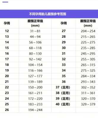 胎儿股骨长径是什么意思(怀孕28-29周胎儿的股骨长径、头围、腹围标准是多少) 第3张 胎儿股骨长径是什么意思(怀孕28-29周胎儿的股骨长径、头围、腹围标准是多少) 第3张