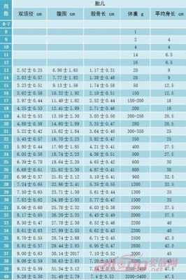 孕周33周胎儿发育标准(孕周33周胎儿发育标准是多少) 第3张 孕周33周胎儿发育标准(孕周33周胎儿发育标准是多少) 第3张
