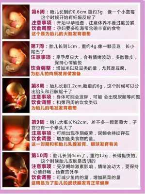 孕妇胎儿大是什么原因(孕妇胎儿大是什么原因造成的) 第3张 孕妇胎儿大是什么原因(孕妇胎儿大是什么原因造成的) 第3张