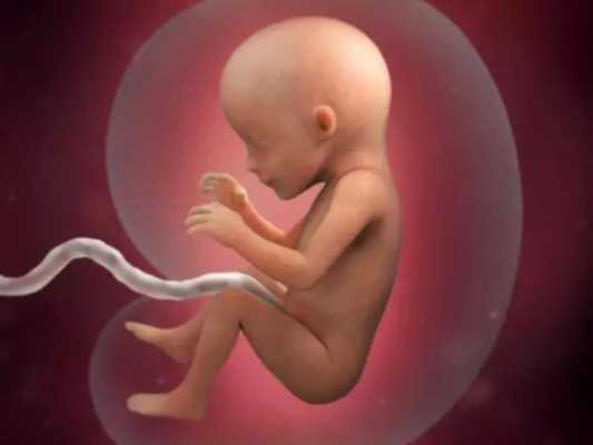 胎儿17周发育稳定了吗?正常多少周就稳定了呢,怀孕3个月胎儿稳定了吗正常吗 第1张 胎儿17周发育稳定了吗?正常多少周就稳定了呢,怀孕3个月胎儿稳定了吗正常吗 第1张