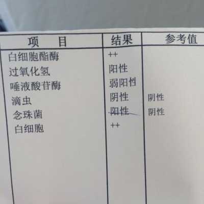 孕期念球菌(孕期念球菌阳性) 第1张 孕期念球菌(孕期念球菌阳性) 第1张