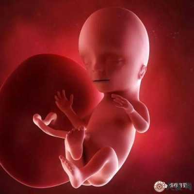 孕期42周(42周之后是啥) 第3张 孕期42周(42周之后是啥) 第3张