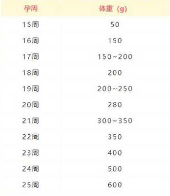预计胎儿体重(预计胎儿体重1786±261g是多少斤) 第2张 预计胎儿体重(预计胎儿体重1786±261g是多少斤) 第2张