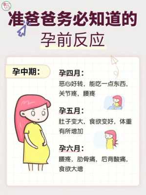 孕期反应晚(孕期反应晚) 第2张 孕期反应晚(孕期反应晚) 第2张