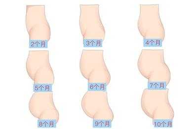 孕期腹部变化(孕期腹部变化图) 第1张 孕期腹部变化(孕期腹部变化图) 第1张