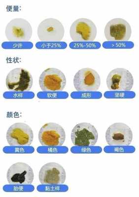 孕期排便臭(为什么每次大便都很臭?原因是什么啊) 第1张 孕期排便臭(为什么每次大便都很臭?原因是什么啊) 第1张