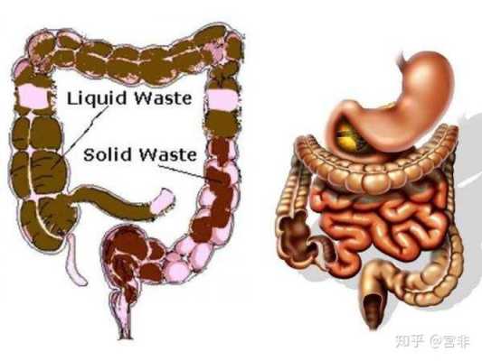 孕期排便臭(为什么每次大便都很臭?原因是什么啊) 第3张 孕期排便臭(为什么每次大便都很臭?原因是什么啊) 第3张