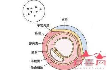 妊娠空囊是怎么回事,胎儿是空囊是什么意思 第2张 妊娠空囊是怎么回事,胎儿是空囊是什么意思 第2张