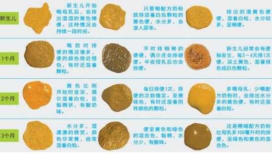七个月宝宝大便正常状态,胎儿会大便吗图片 第1张 七个月宝宝大便正常状态,胎儿会大便吗图片 第1张