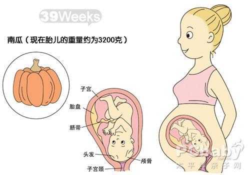 三十九周胎儿图(39周以后胎儿还长吗?还是不太清楚了的) 第1张 三十九周胎儿图(39周以后胎儿还长吗?还是不太清楚了的) 第1张