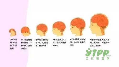 孕贝怎么使用,怎样胎教提高胎儿智商的方法 第2张 孕贝怎么使用,怎样胎教提高胎儿智商的方法 第2张