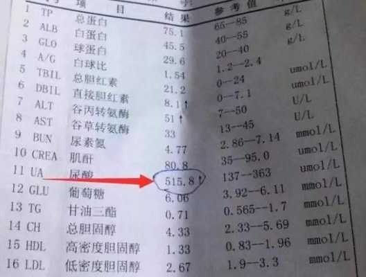 孕期尿酸偏高(孕期尿酸偏高是什么原因) 第3张 孕期尿酸偏高(孕期尿酸偏高是什么原因) 第3张