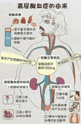 孕期尿酸偏高(孕期尿酸偏高是什么原因) 第2张 孕期尿酸偏高(孕期尿酸偏高是什么原因) 第2张
