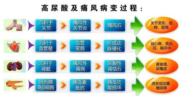 孕期尿酸偏高(孕期尿酸偏高是什么原因) 第1张 孕期尿酸偏高(孕期尿酸偏高是什么原因) 第1张