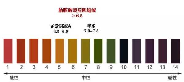 孕期ph值7(孕期ph值7.5是什么意思) 第1张 孕期ph值7(孕期ph值7.5是什么意思) 第1张