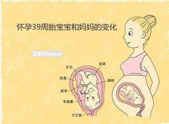 怀孕多少周算是足月胎儿(胎儿要多久才是足月) 第3张 怀孕多少周算是足月胎儿(胎儿要多久才是足月) 第3张