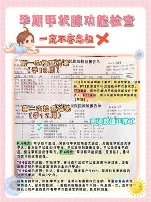孕期甲状腺筛查（孕期甲状腺筛查是什么）  第2张