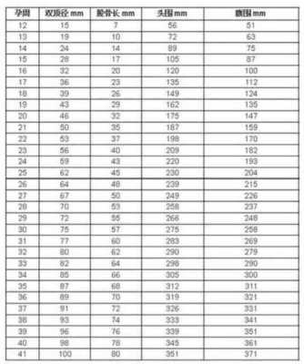 怀孕22周真实胎儿图(22周胎儿头围标准数据是什么,请问谁知道) 第1张 怀孕22周真实胎儿图(22周胎儿头围标准数据是什么,请问谁知道) 第1张